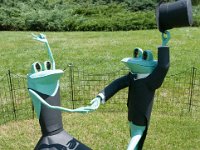 2016 - MortArboretumFrogs 0010 : Morton Arboritum, 2016 - Morton Frogs